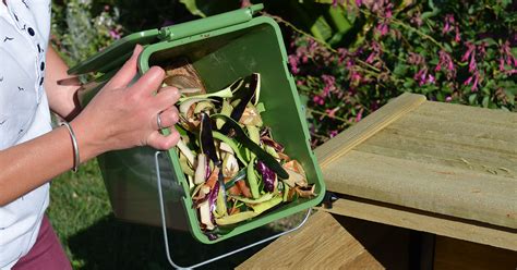 versement de déchets alimentaire dans un composteur